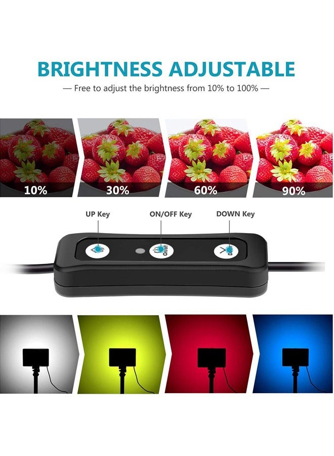 LED Video Light 2-Pack, 5600K Dimmable USB Photo Lights with Mini Tripod and Colored Filters for Photo Studios, Small Angle Shooting, Video Recording, Game Streaming  - Image 5
