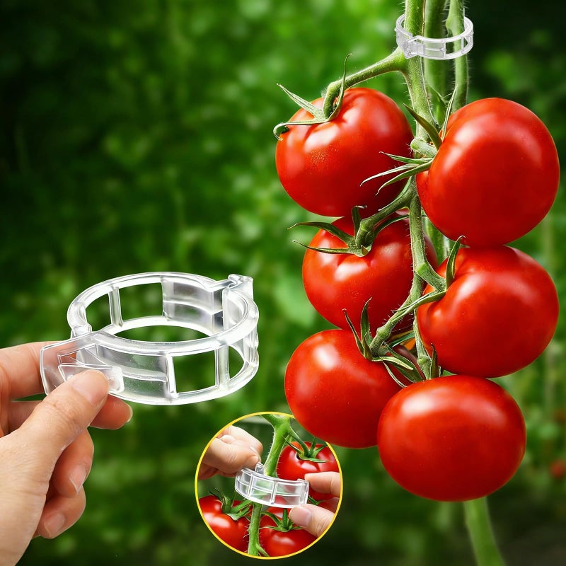 FEED GARDEN 120Pcs Plant Clips for Climbing Plants-Tomato, Cucumber, Grape & Vegetable Plant Supports, Reusable Tomato Clips Plastic Garden Clips, White - Image 1