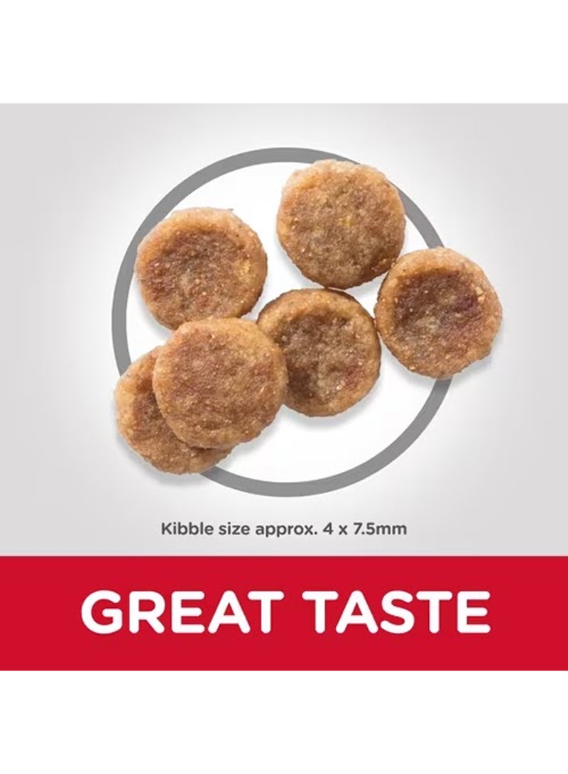 Hill's طعام الكلاب الجاف من هيلز ساينس بلان لحيوانات الكلاب الصغيرة والبالغة مع الدجاج - Image 4