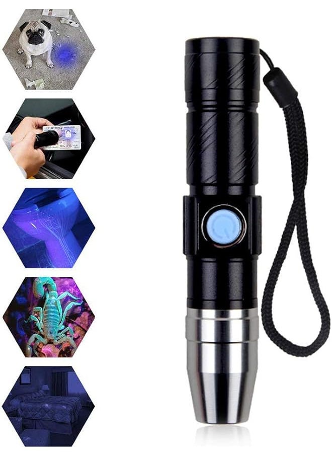 PROMASS promass UV Flashlight USB Rechargeable for Pet Urine,365nm Black Light Mini Torch Flash Light 3Modes (Black)  - Image 1