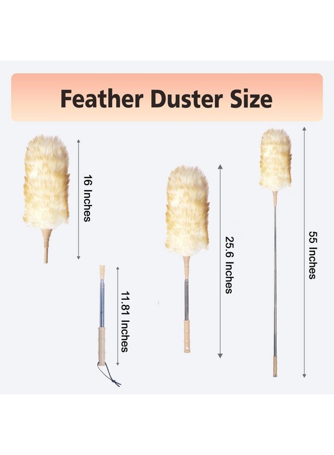 Cede noo Cedenoo Lambswool Duster, Extendable Long Handle 55 Inch, Flexible, Washable Reusable Natural Dusters for High Ceilings, Wall, Ceiling Fans, Blinds, Furniture - Image 3
