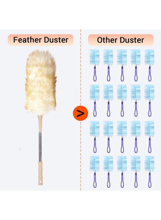 Cede noo Cedenoo Lambswool Duster, Extendable Long Handle 55 Inch, Flexible, Washable Reusable Natural Dusters for High Ceilings, Wall, Ceiling Fans, Blinds, Furniture - Image 2