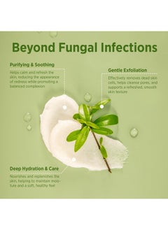 Roycederm Tea Tree Body Scrub Exfoliating: Extra Strength Pre-Body Wash for Athlete’s Foot, Jock Itch & Ringworm - Deep Cleansing Scrub with Tea Tree Oil & Dead Sea Salt for Smooth Skin - 12oz  - Image 3