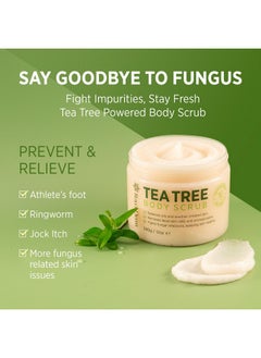 Roycederm Tea Tree Body Scrub Exfoliating: Extra Strength Pre-Body Wash for Athlete’s Foot, Jock Itch & Ringworm - Deep Cleansing Scrub with Tea Tree Oil & Dead Sea Salt for Smooth Skin - 12oz  - Image 2
