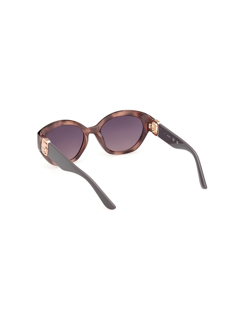 Women's UV Protection Oval Shape Sunglasses - GU0010455B56 - Lens Size: 56 Mm - Coloured Havana - pzsku/ZE7BFC17C84F03BF6C9EDZ/45/_/1718794625/e29cdce7-a294-4ed9-83af-8414d415ec6d