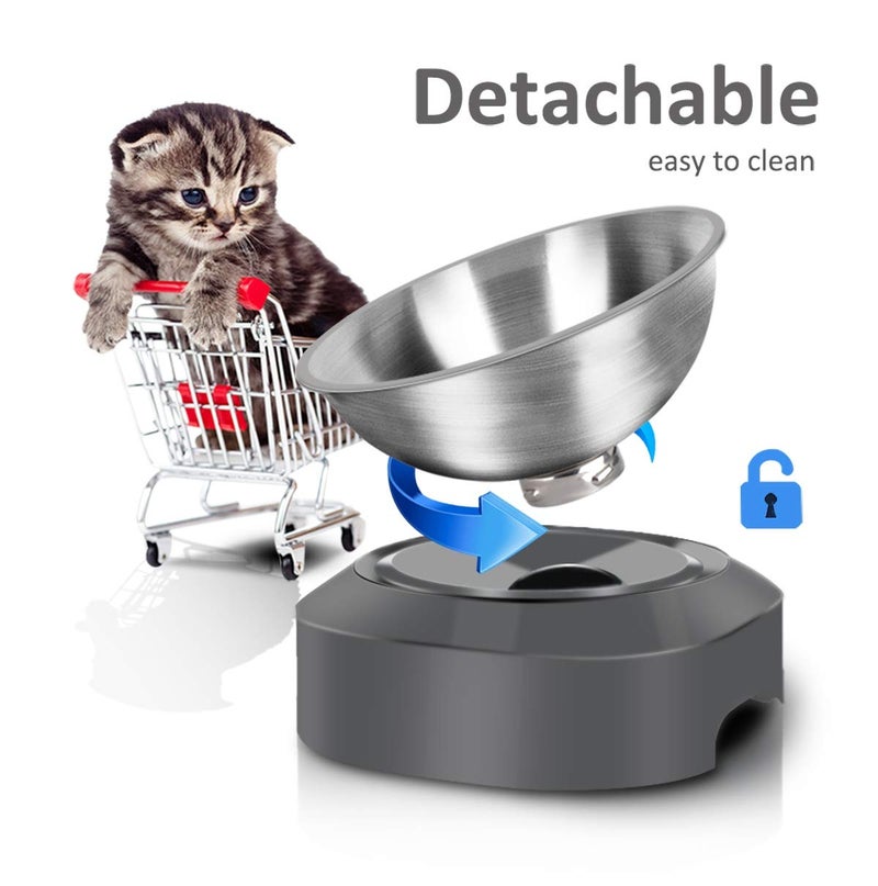 AYADA Raised Cat Food Bowl, Stainless Steel Cat Dish for Dry Wet Food Water, Anti Vomiting Elevated with Stand Ergonomic Lifted Slanted Tilted 15 Angle Metal Single Kitty Kitten Pet Bowl (Single) - Image 5