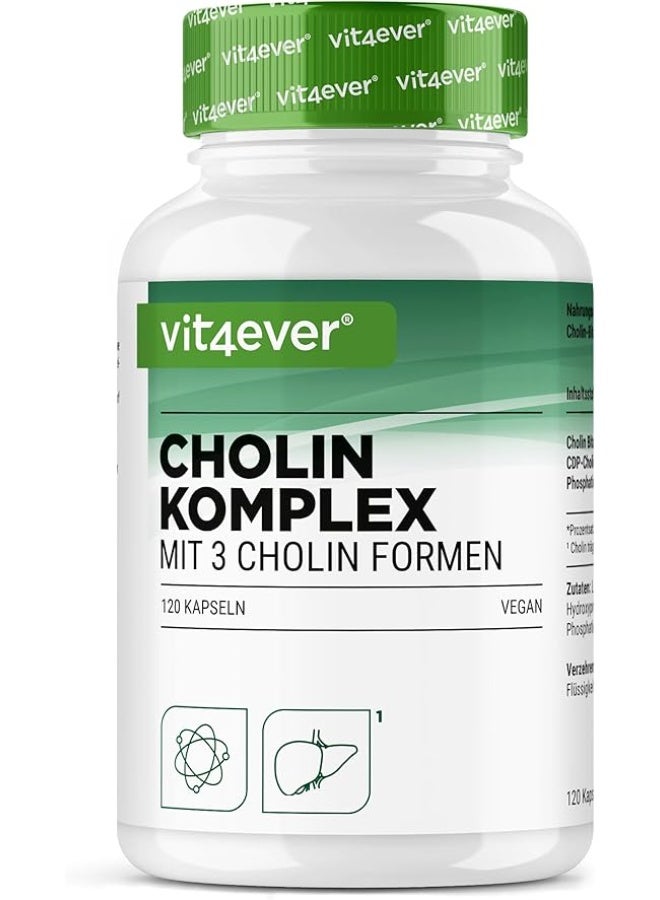 Vit4ever Choline Complex with 3 Forms (Bitartrate, Cyticoline and Phosphatidylcholine), Supports Brain Function and Cognitive Performance, Promotes Memory and Liver Health, Synergistic Formula, Vegan, No Additives, 120 Capsules - Image 1