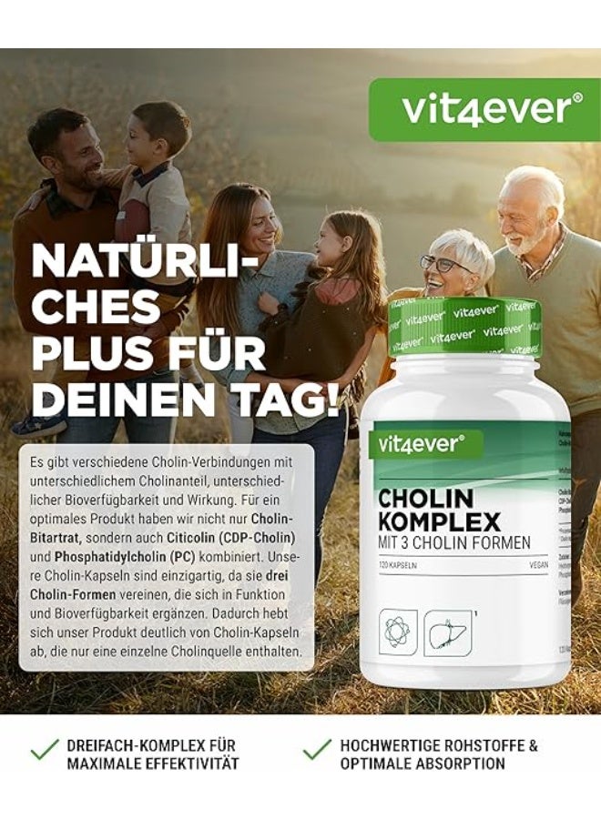 Vit4ever Choline Complex with 3 Forms (Bitartrate, Cyticoline and Phosphatidylcholine), Supports Brain Function and Cognitive Performance, Promotes Memory and Liver Health, Synergistic Formula, Vegan, No Additives, 120 Capsules - Image 2