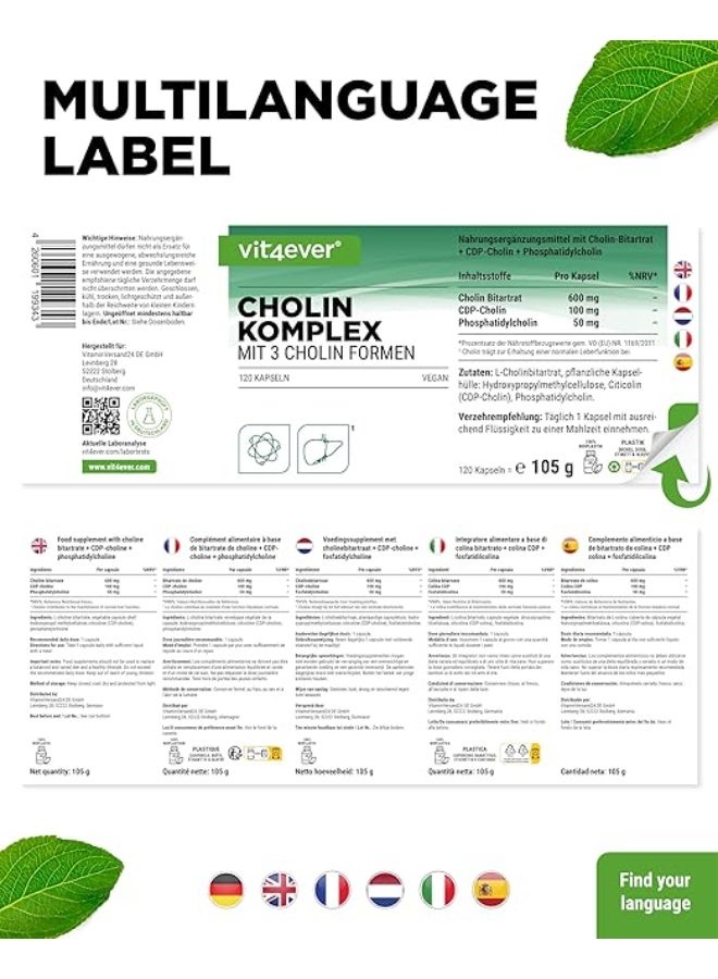 Vit4ever Choline Complex with 3 Forms (Bitartrate, Cyticoline and Phosphatidylcholine), Supports Brain Function and Cognitive Performance, Promotes Memory and Liver Health, Synergistic Formula, Vegan, No Additives, 120 Capsules - Image 3