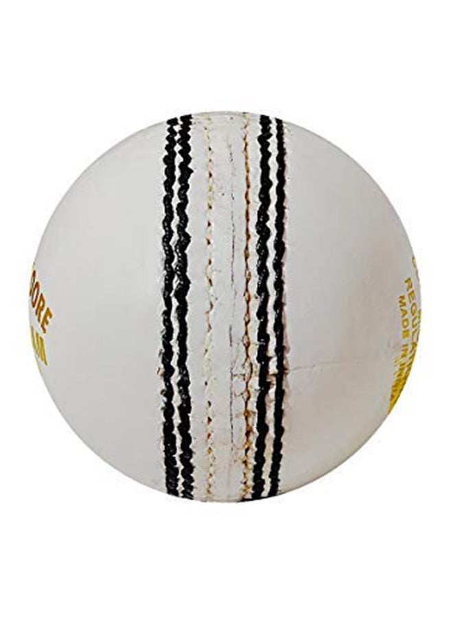 GM County Star Leather Cricket Ball (White) | Jumior | Leather |Water Proof - Image 5