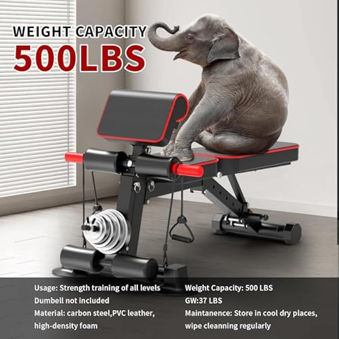 rayihni Adjustable Weight Bench,Utility Workout Bench Foldable Incline Decline Benches For Home Gym Full Body Workout,Load 600Lbs - Image 3