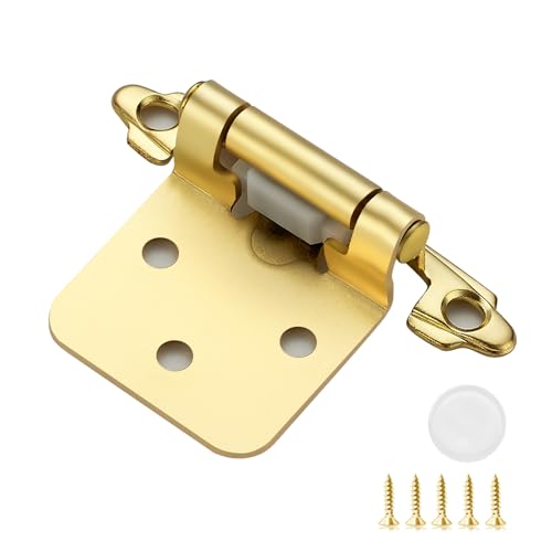 Ravinte Hardware 20 Pack 10 Pairs 12 Inch Overlay Kitchen Cabinet Hinges Satin Brass Self Closing Hinges for Kitchen Cabinet Doors SemiConcealed Cupboard Hardware Face Mount Hardware Gold - Image 1