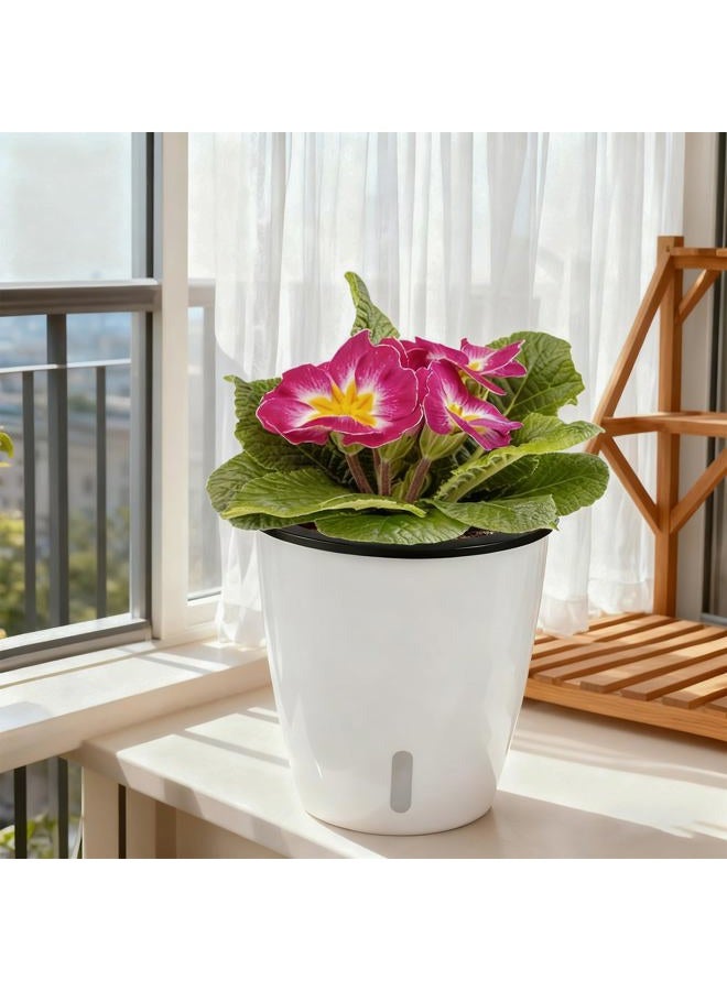 Planterhoma 6 Pack 5 Inch Self Watering Pots for Indoor Plants with Water Indicator,Small African Violet Pots for Plants,Self-Watering Planters White for Devil's Ivy,Spider Plant,Orchid for Office Home DéCor. - Image 5