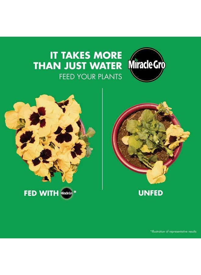 Miracle-Gro Watering Can Singles All Purpose Water Soluble Plant Food Includes 24 Premeasured Packets - Image 4