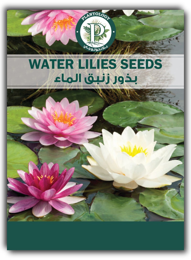 Water Lilies Seeds for Planting - Water Lilies Seeds - Image 1
