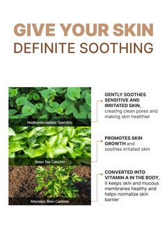 rootree Phyto ground Purifying Cream Toner - Korean Skin Care, Deep Moistruising and Nourishing,  Face Care, Vegan & Cruelty Free  - Image 3