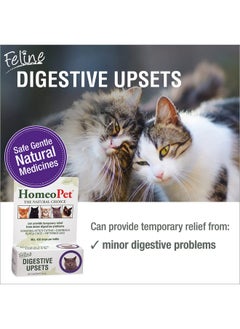 Feline Digestive Upsets, Natural Cat Digestive Support, Digestive Supplement For Cats, 15 Milliliters - pzsku/ZE7C8AA91FFC9EE2DA041Z/45/_/1726221205/9a4c4f18-3364-46ab-95fe-d44dd2f3e106