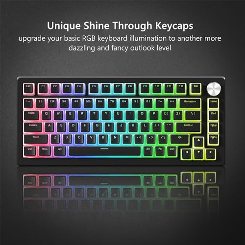 Womier Pudding Keycaps, Black PBT Keycaps 60 65 75 100 Percent 130 Keys, Shine Through Key Cap, OEM Profile for MX-stem Switches Keyboard Caps-Black - Image 4