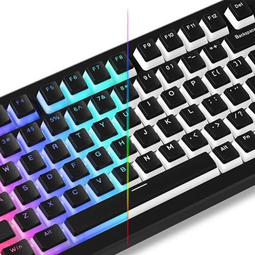 Womier Pudding Keycaps, Black PBT Keycaps 60 65 75 100 Percent 130 Keys, Shine Through Key Cap, OEM Profile for MX-stem Switches Keyboard Caps-Black - Image 1
