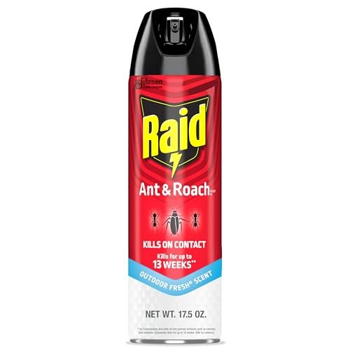 Raid Ant & Roach Killer Spray For Listed Bugs, Keeps Killing for Weeks, Fresh Scent, 17.5 oz - Image 1