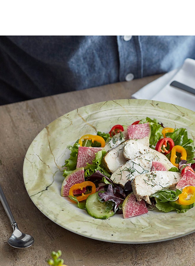 Rk Melamine Beige Static Gold Melamine Dinner Plate 10.5" - Image 4