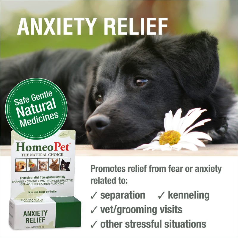 HomeoPet Anxiety Relief Medicine for Pets, Natural Anxiety Relief for Dogs and Cats, Cat and Dog Calming Medicine, 15 Milliliters - Image 2