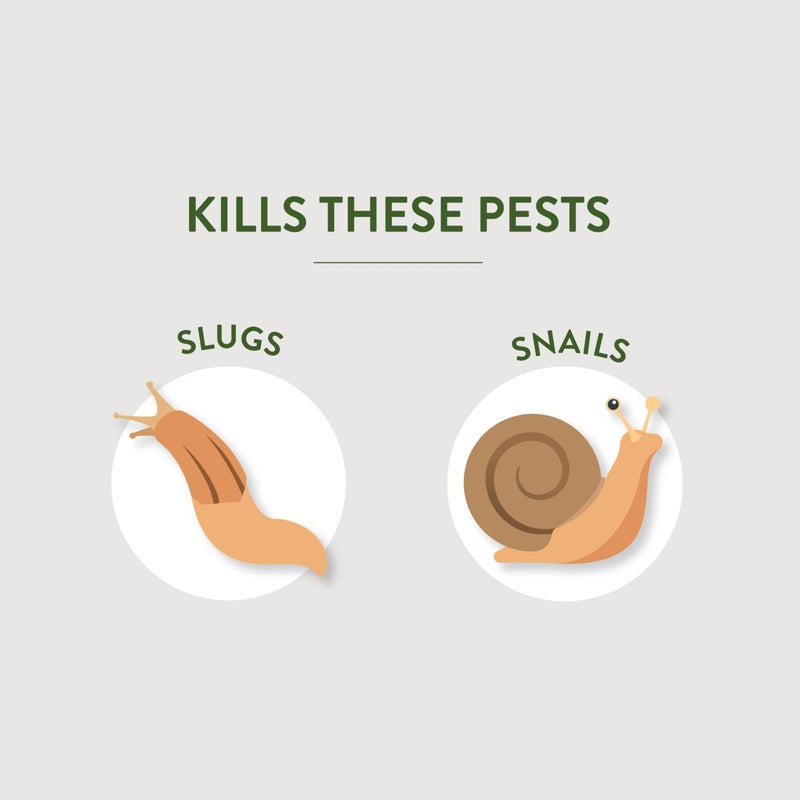 Garden Safe Brand Slug & Snail Bait Granules, 2 Pounds, Slugs & Snails Begin to Die Within 3 to 6 Days, Can Be Used Around Pets & Wildlife, For Lawns, Gardens & Greenhouses, 1 Pack - Image 3
