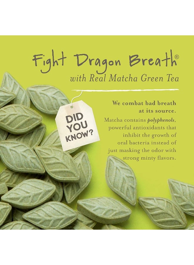 Sencha Naturals نعناع الشاي الأخضر من سين تشا ناتشورالز، نعناع خالي من السكر، مصنوع من شاي ماتشا الياباني العضوي، خالي من الجلوتين، خالي من السكر، نباتي وصديق للكيتو، نعناع مغربي، 1.2 أونصة (1 عبوة) - Image 5