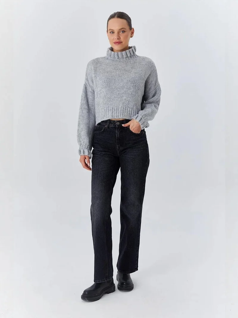 MixRay Mixray Thick Turtleneck Textured Crop Sweater