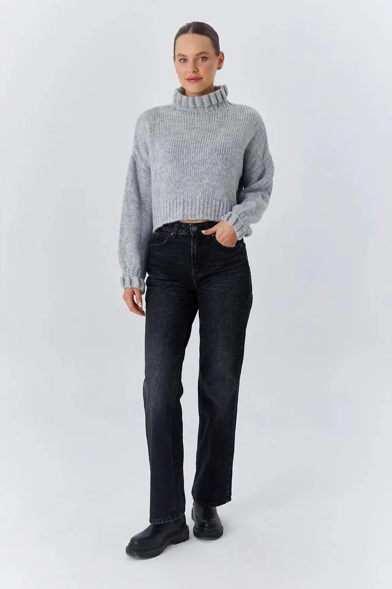 Mixray Mixray Thick Turtleneck Textured Crop Sweater