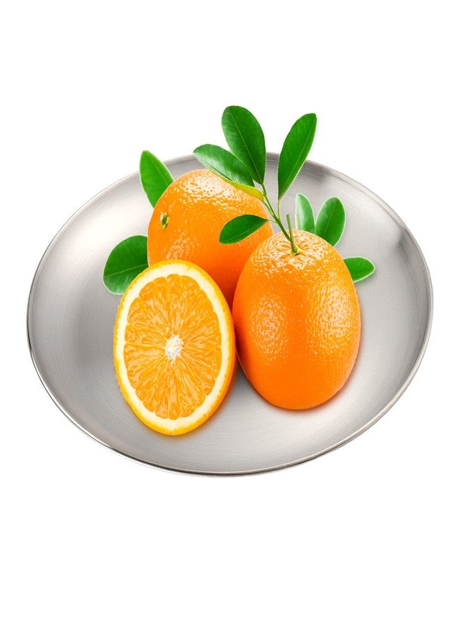 طقم أطباق عشاء من الفولاذ المقاوم للصدأ 304 من سينجون، 8 قطع، أطباق تقديم دائرية مزدوجة الطبقات مقاس 10 بوصات، أطباق معدنية فضية مصقولة للتخييم، وتناول الطعام، والشواء، وشرائح اللحم، والسلطة. - Image 5