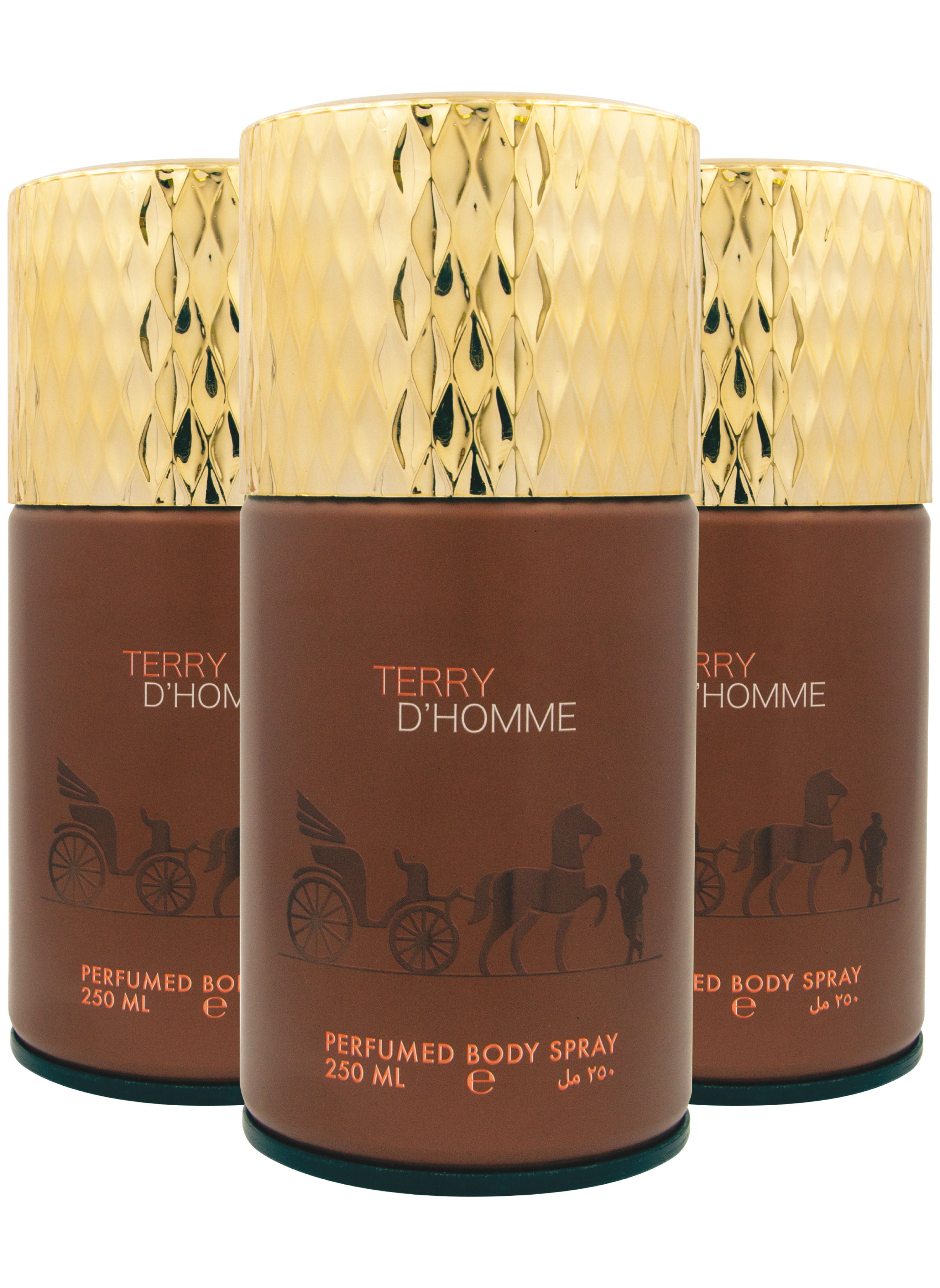 Elegant Terry Dhomme Perfumed Spray 250ml Pack Of 3 