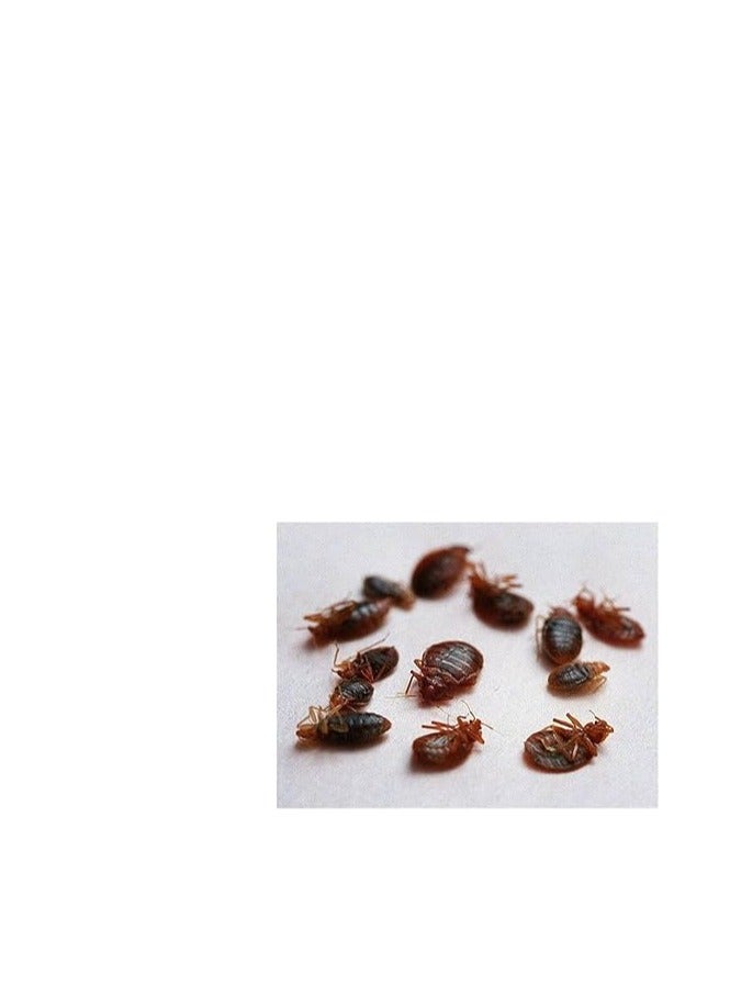 FNC KATMAL All Insects Killer Cockroaches Bed Bugs Termites Ants - Image 4