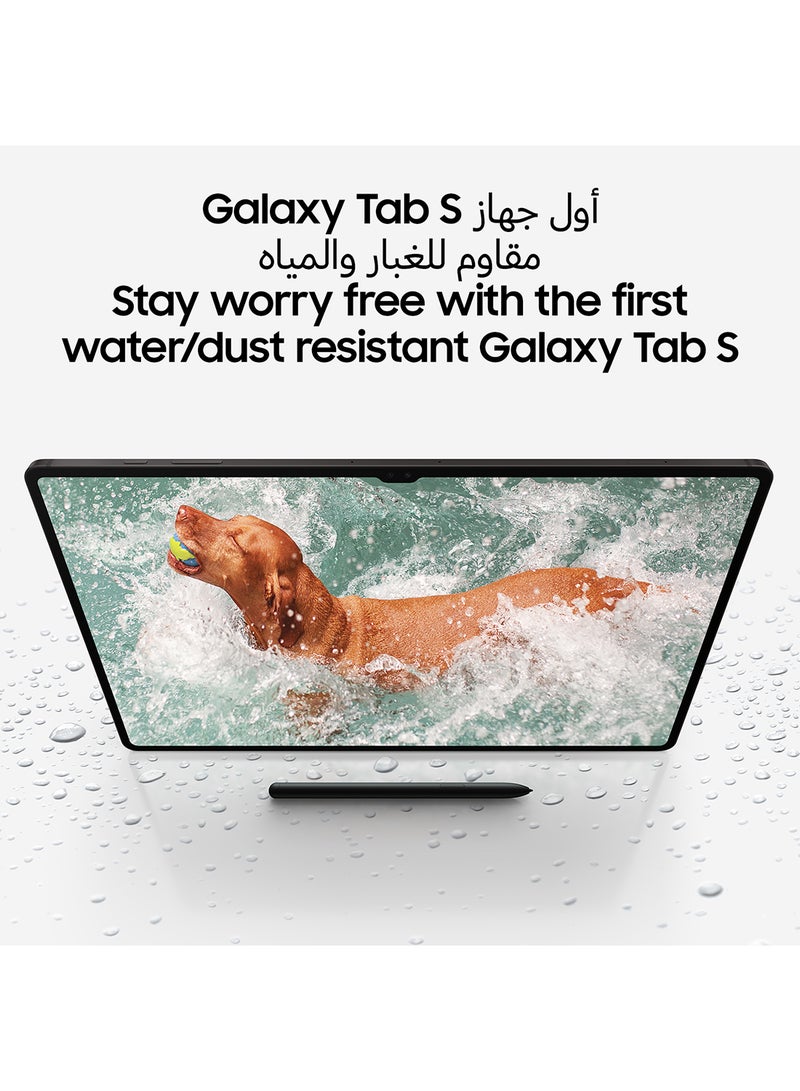 Samsung Galaxy Tab S9 Graphite 12GB RAM 256GB Wifi - Middle East Version - Image 5