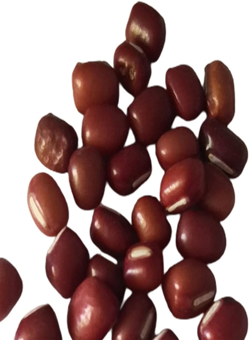 GGOOT Seed for Planting,20Pcs/Bag Winged Bean Seeds Cold Intolerant Tenacious Natural Winged Bean Vegetables Seeds for Garden Winged Bean Seeds for Garden-Winged Bean Seeds - Image 4