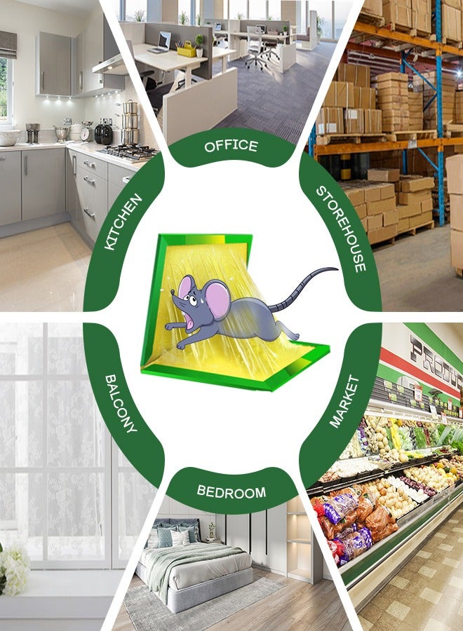 أوربازار مصيدة الفئران فعالة للغاية، مصيدة الفئران القوارض، لوحة لاصقة لاصقة للفئران والصراصير والعناكب وما إلى ذلك (عبوة من 12 قطعة) - Image 5