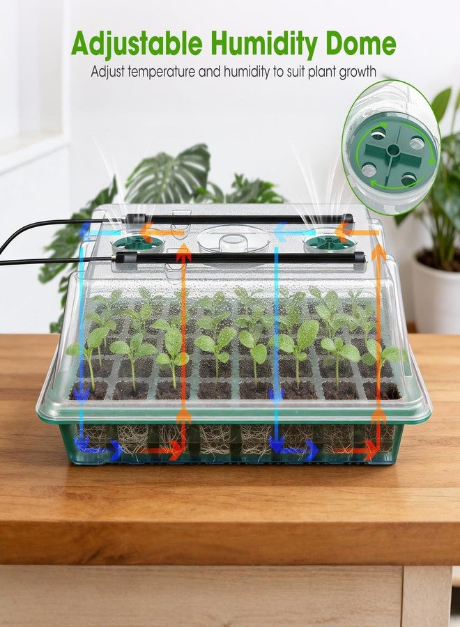 صينية بدء زراعة البذور من MQHUAYO مع ضوء نمو، مصنوعة من البولي بروبيلين (PP)، لون أخضر - Image 3