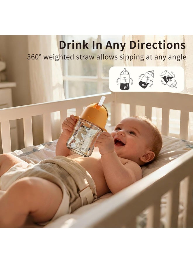 Evorie Tritan Weighted Straw Sippy Cup with Handles for Baby and Toddlers, Spill Proof Baby Water Bottle with Straw for 6 months and up, 7 Oz, Infant Training Water Bottle (Apricot) - Image 3