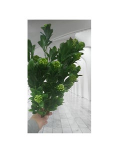 Generic High quality artificial plant green color bundle gives beauty to the place 