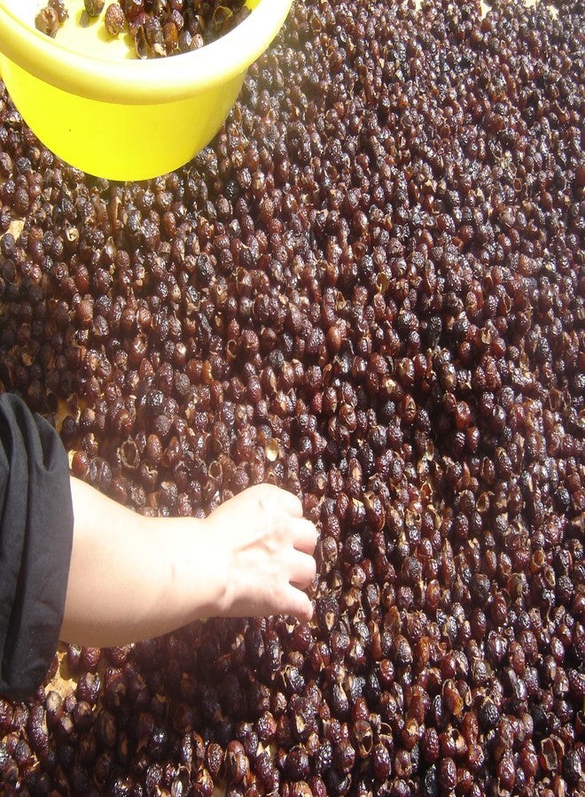 GREENWILL 3 Pounds Organic De-seeded Soap Berries/Soap Nuts +2 Wash Bags - Image 5