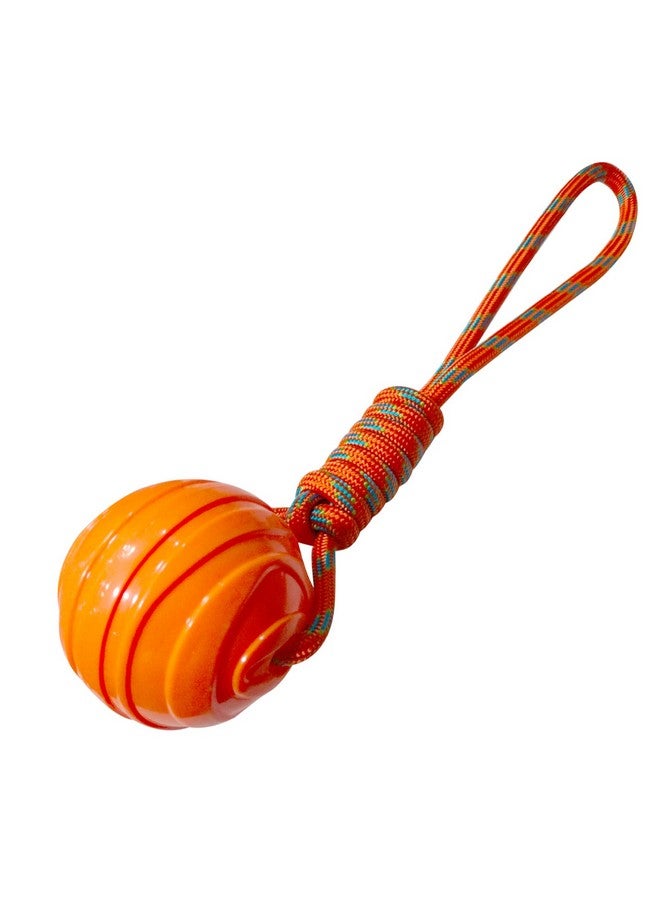 إيميلي بيتس لعبة حبل للكلاب، كرة على حبل للكلاب، كرات مطاطية متينة ومرنة من أجل الإحضار والإمساك، ألعاب تفاعلية للكلاب لشد الحبل والرمي وشد الحبل، لعبة مائية للكلاب (Voilate) - Image 1