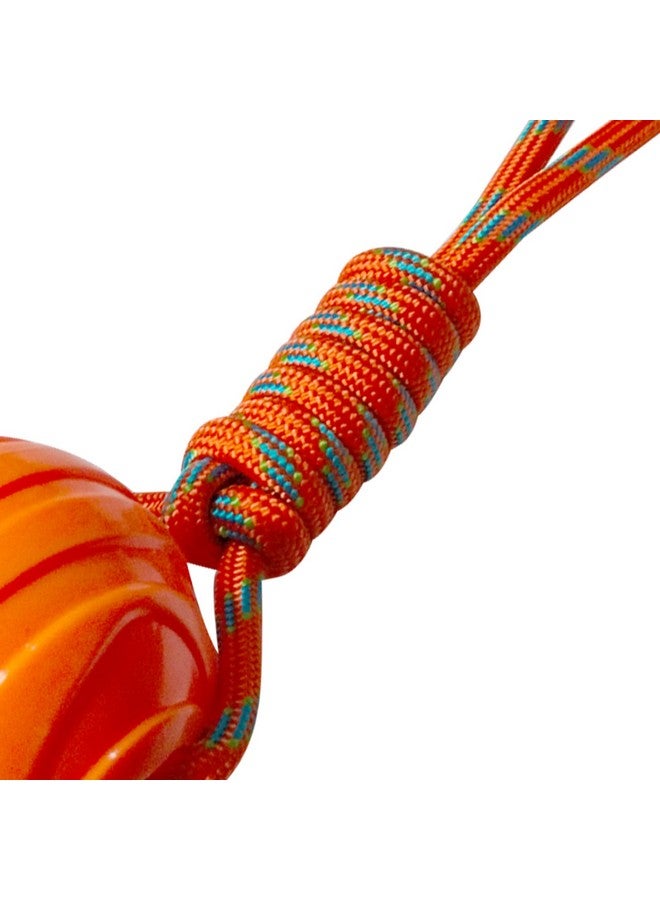 إيميلي بيتس لعبة حبل للكلاب، كرة على حبل للكلاب، كرات مطاطية متينة ومرنة من أجل الإحضار والإمساك، ألعاب تفاعلية للكلاب لشد الحبل والرمي وشد الحبل، لعبة مائية للكلاب (Voilate) - Image 2