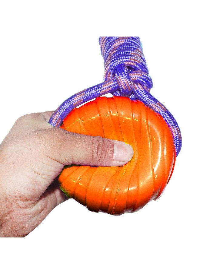 إيميلي بيتس لعبة حبل للكلاب، كرة على حبل للكلاب، كرات مطاطية متينة ومرنة من أجل الإحضار والإمساك، ألعاب تفاعلية للكلاب لشد الحبل والرمي وشد الحبل، لعبة مائية للكلاب (Voilate) - Image 4