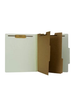 The File King Letter Size Classification Folders 10 Pack Light Green 2Inch Expansion Made In Usa  - Image 1