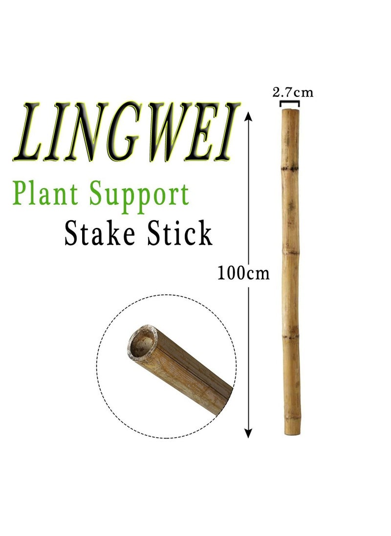LINGWEI Natural Garden Bamboo Sticks For Indoor and Outdoor Plants Flowers Vine Plants Support Garden Canes Poles Stakes ((100cm)(5pcs))  - Image 4