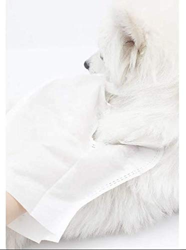 Dono Glove Wipes for Dogs and Cats, Pack of 12 pcs - Image 4