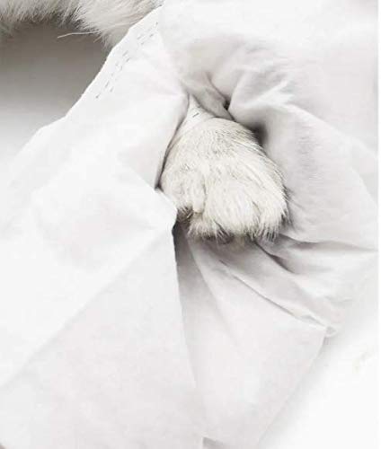 Dono Glove Wipes for Dogs and Cats, Pack of 12 pcs - Image 5