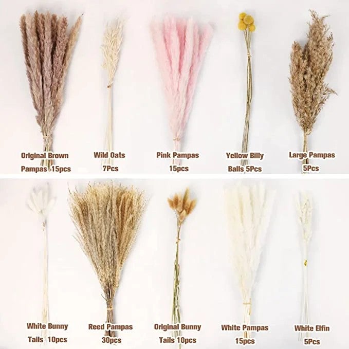 Bluejw Natural Dried Pampas Grass Boho Plants Decorative Dried Bouquet Wedding Home Decoration Dried Plants - Image 1