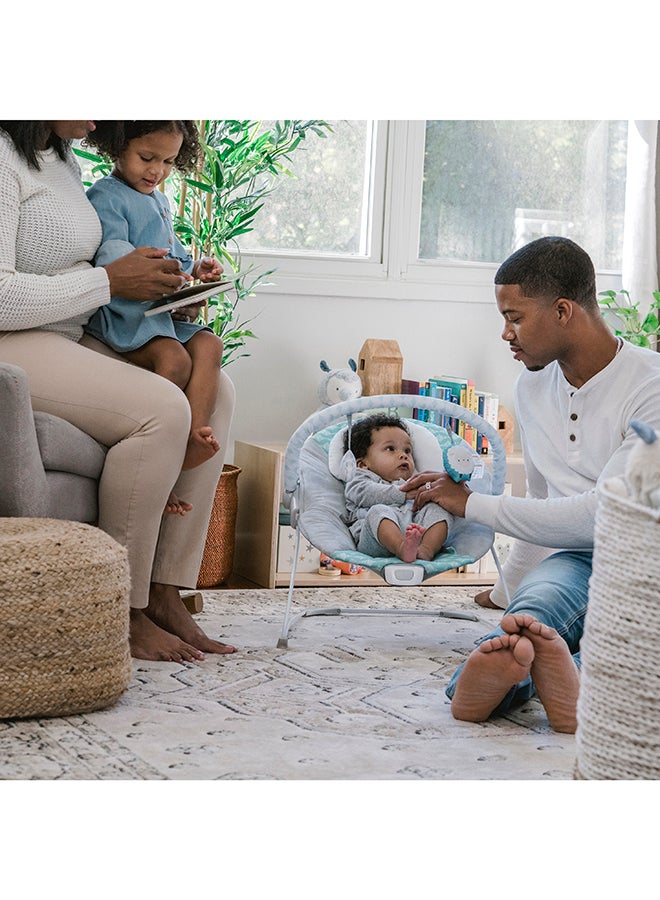 Ity By Bouncity Bounce Vibrating Deluxe Bouncer