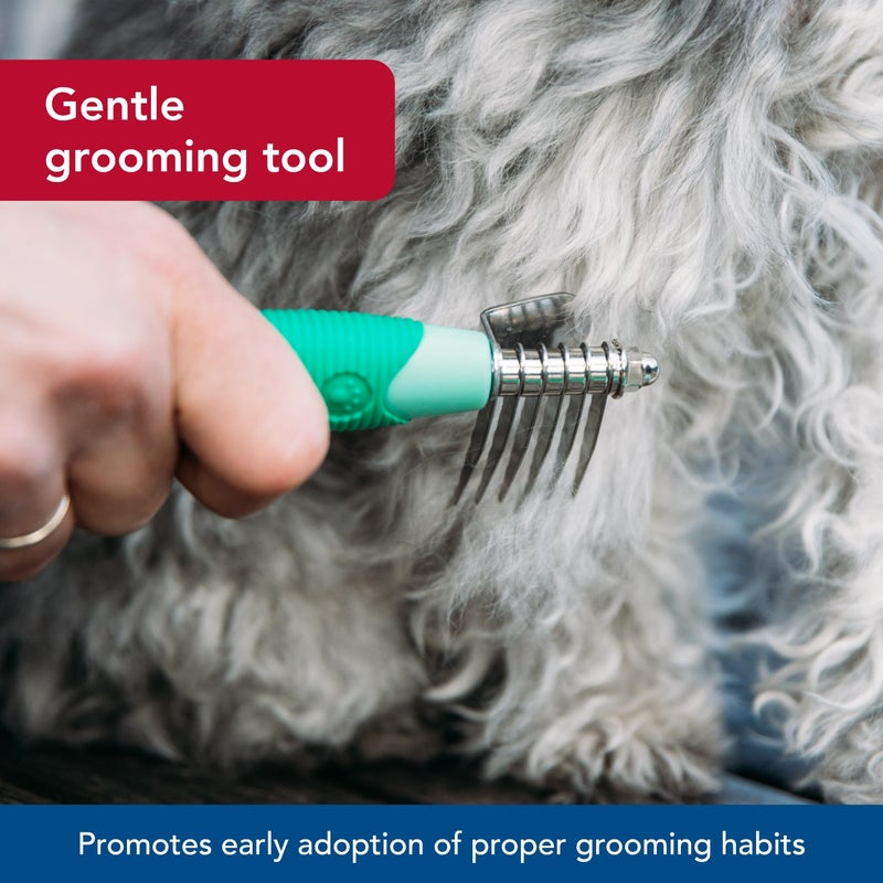 Coastal Pet Li'l Pals Stainless Steel De-Matting Comb - Easy-Grip Handle for Pet Grooming Small Dogs - Image 3